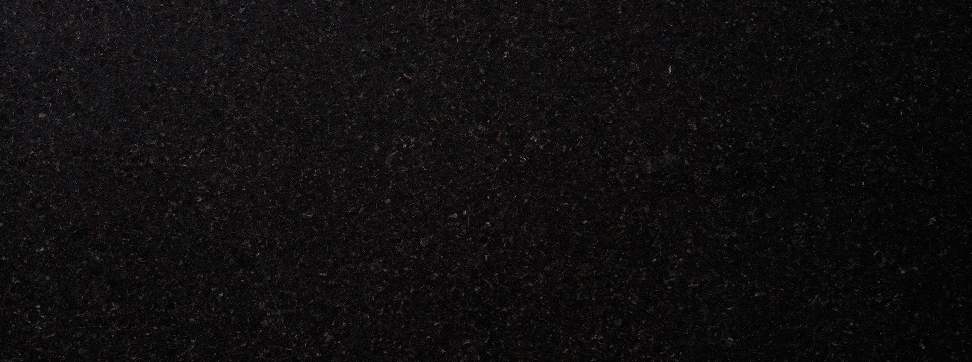 Ubatuba 29711- Closeup -