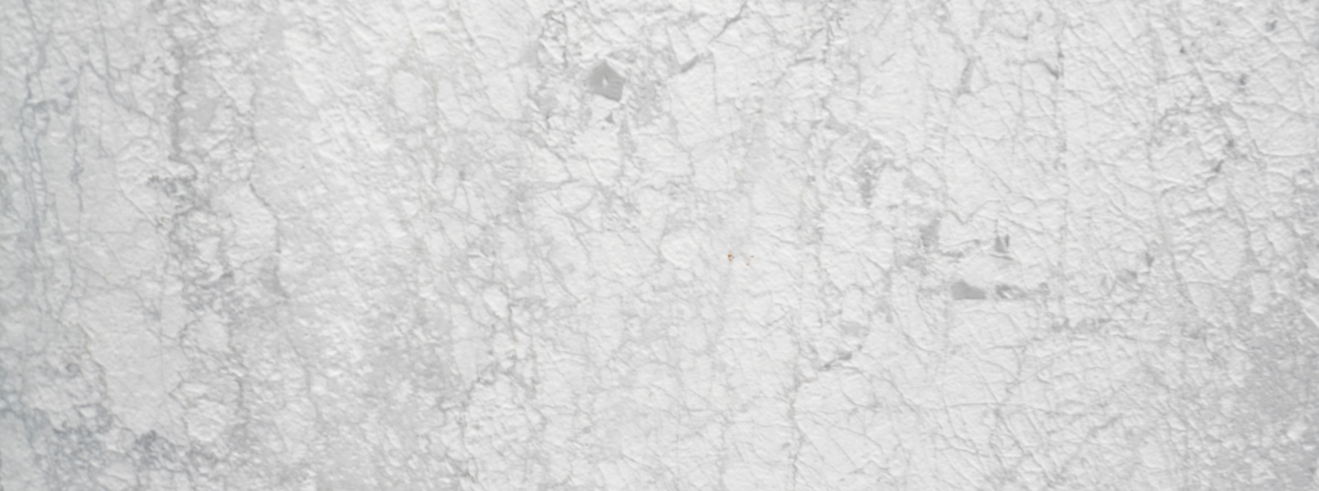 Whiite-Carrara-Moonface---180613---Closeup-