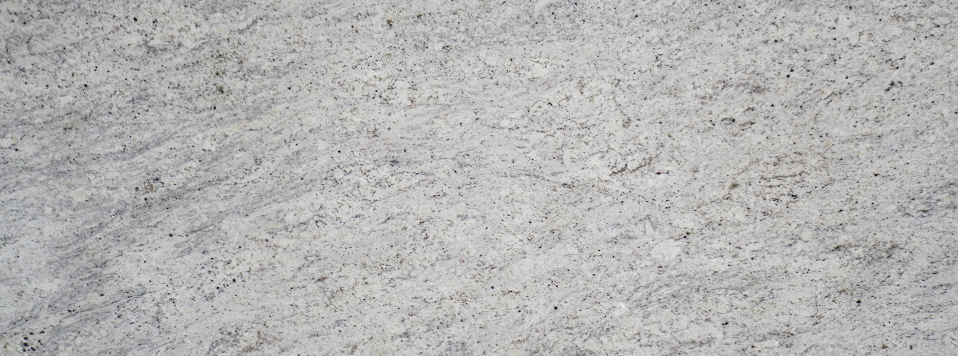 White-Bahamas-6152---Closeup