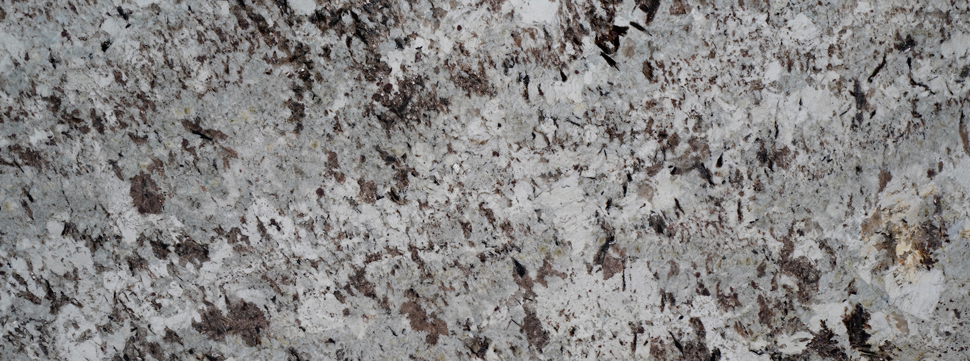 Alaska-White-22285---Closeup