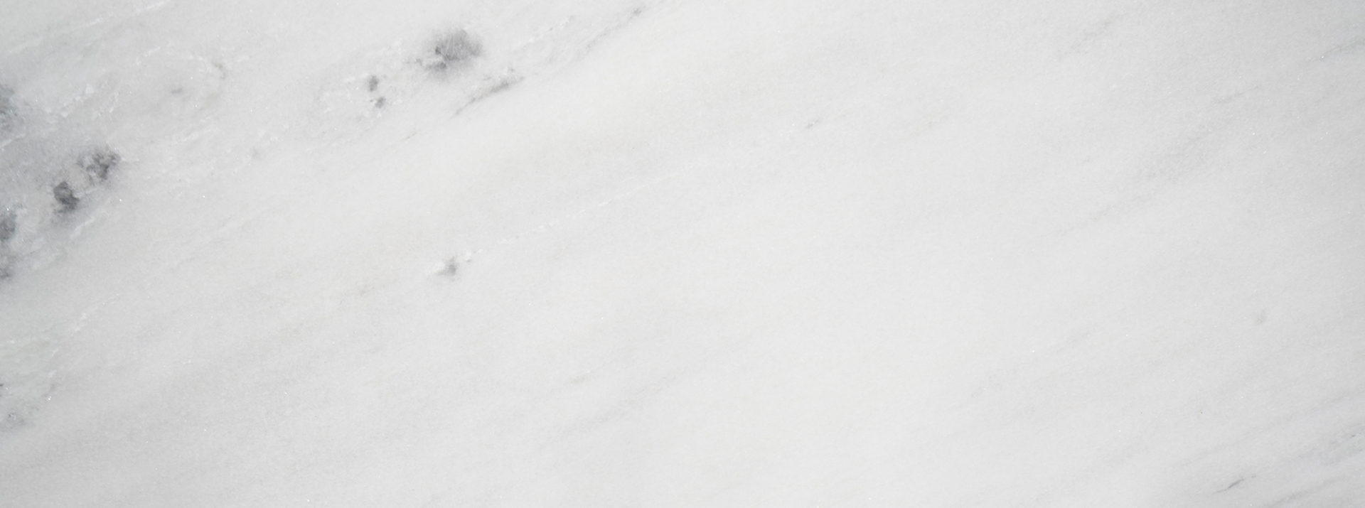 Bianco-Sarda-205268---Closeup