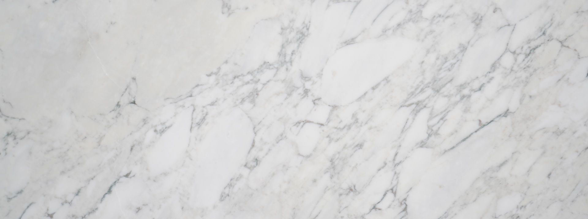 Calacatta-Monet-Honed-10275--Closeup