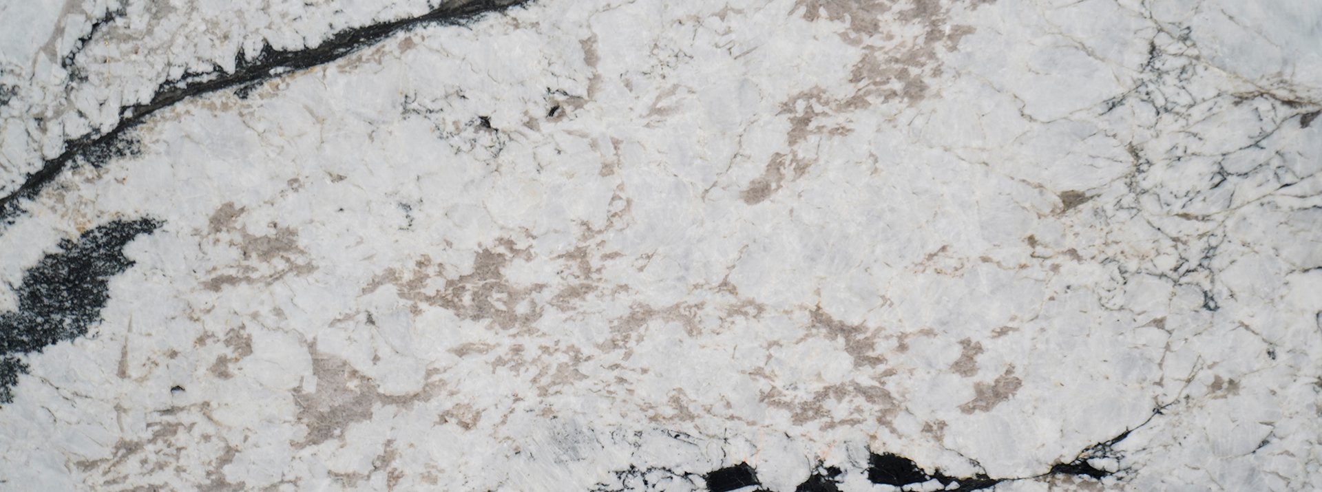 Delicatus-Supreme-Leather-228---Closeup