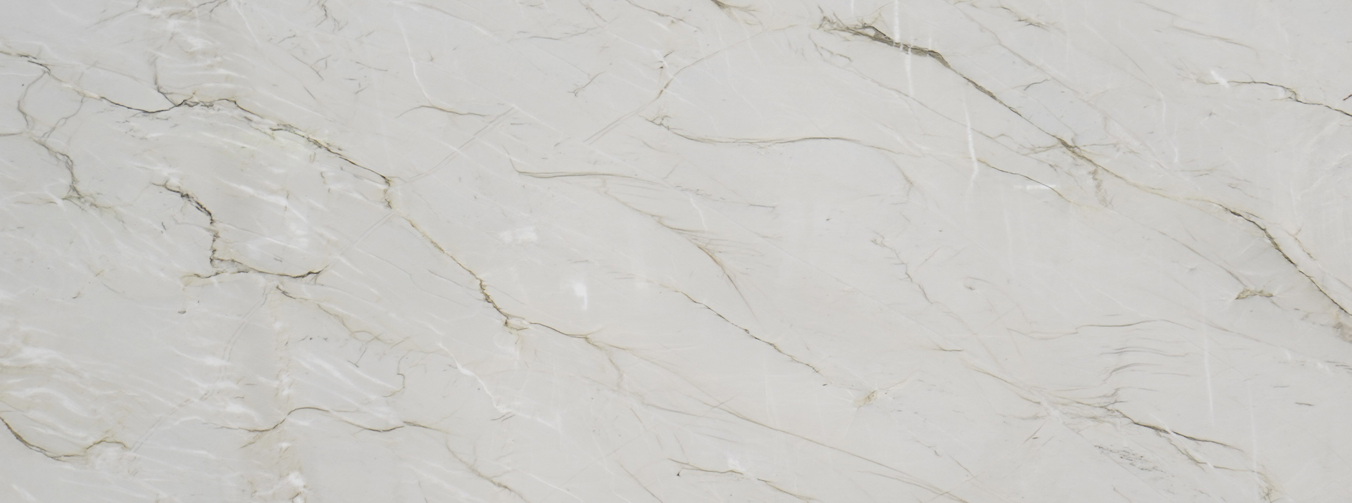 Le-Blanc-9854---Closeup
