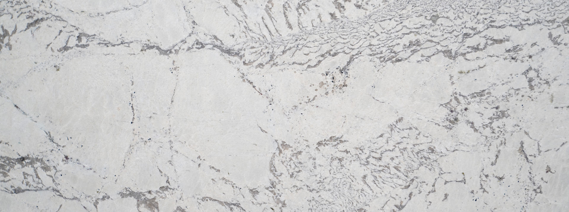 Monalisa-White-Leather--310---Closeup