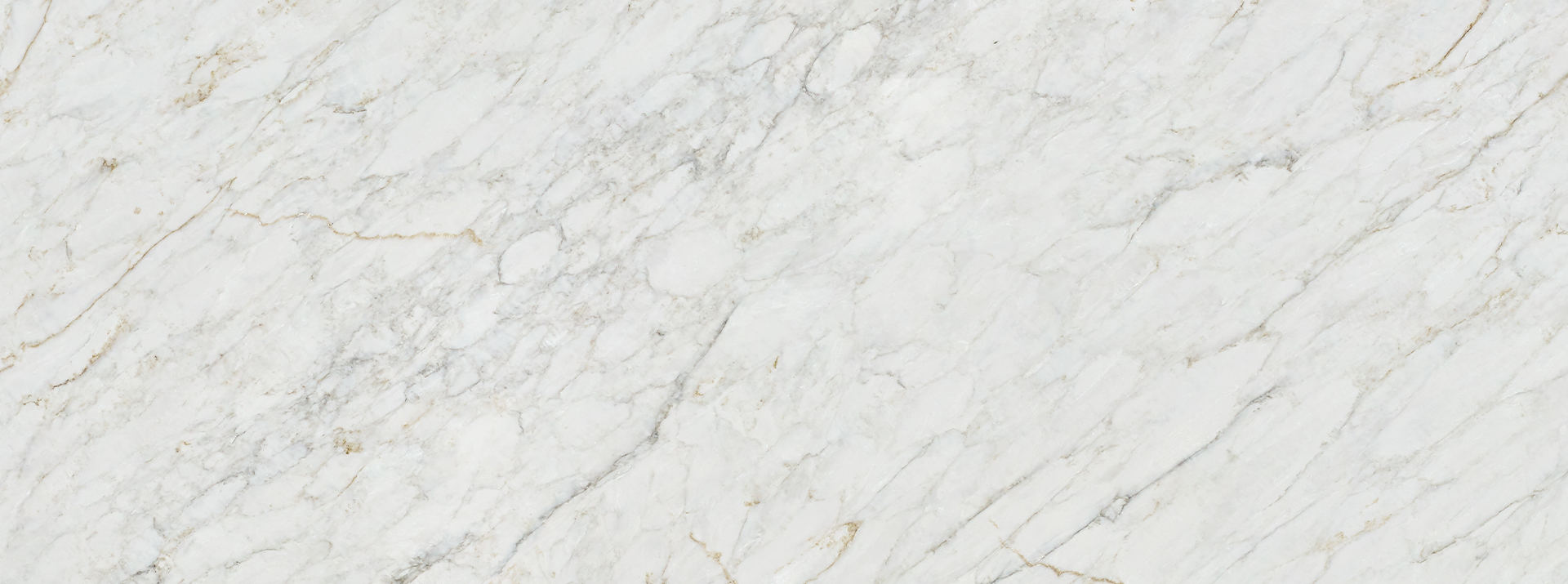 Oro-Delicato---Closeup