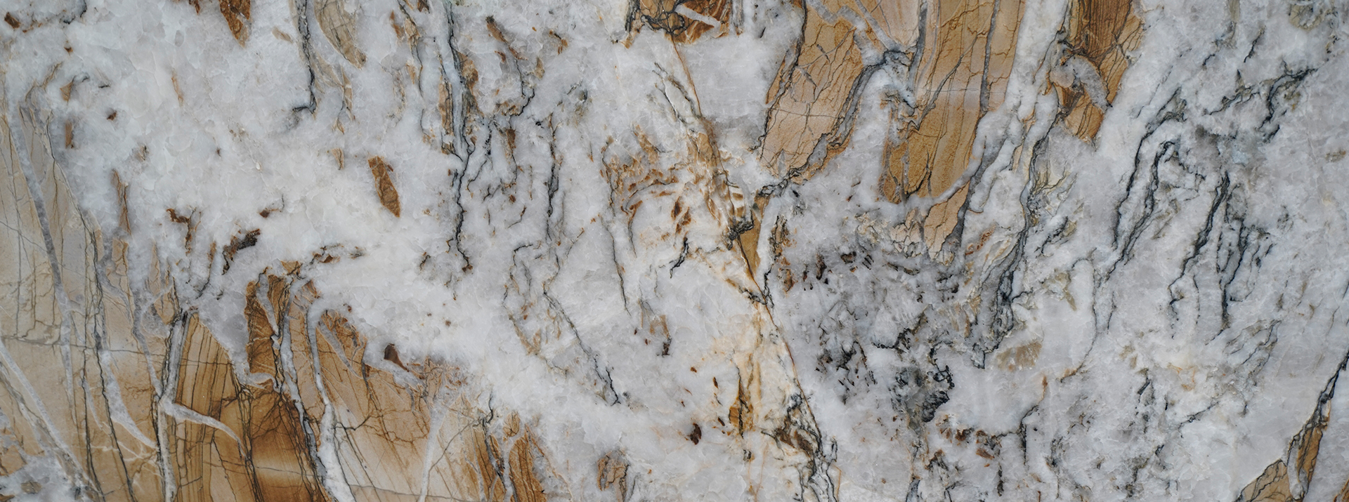 Splendido-1295--Closeup