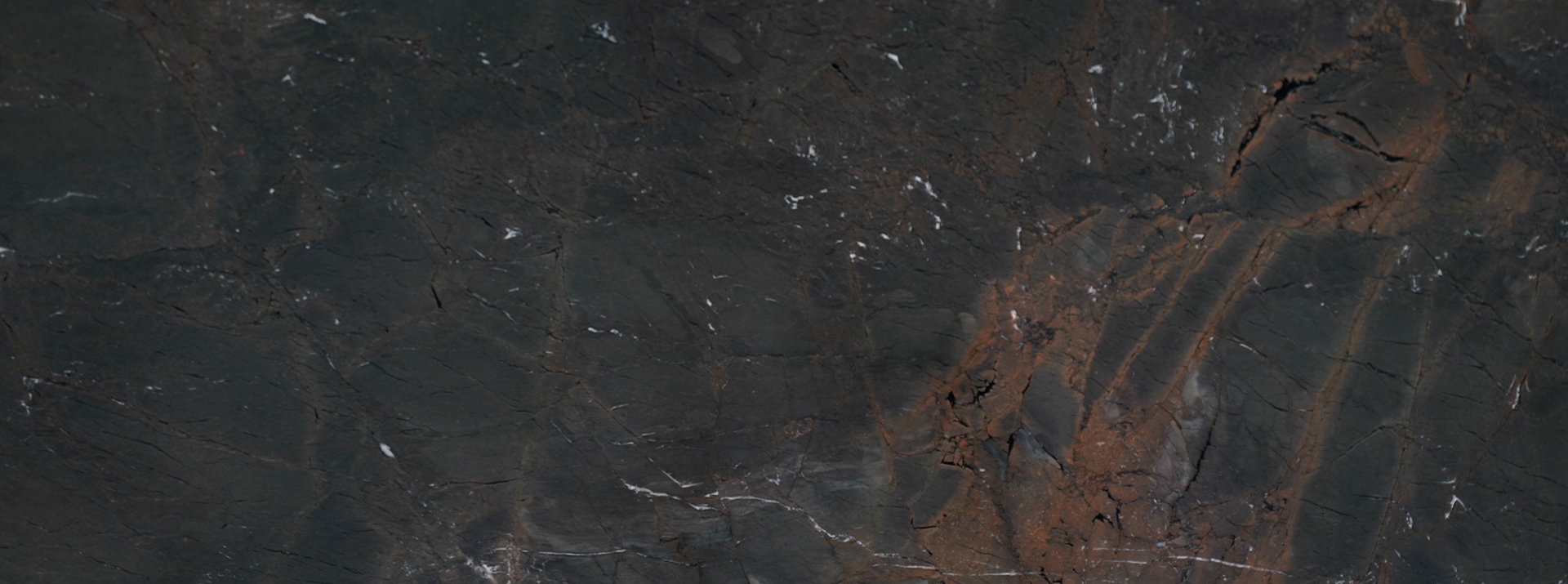 Brownie-Leather-780---Closeup