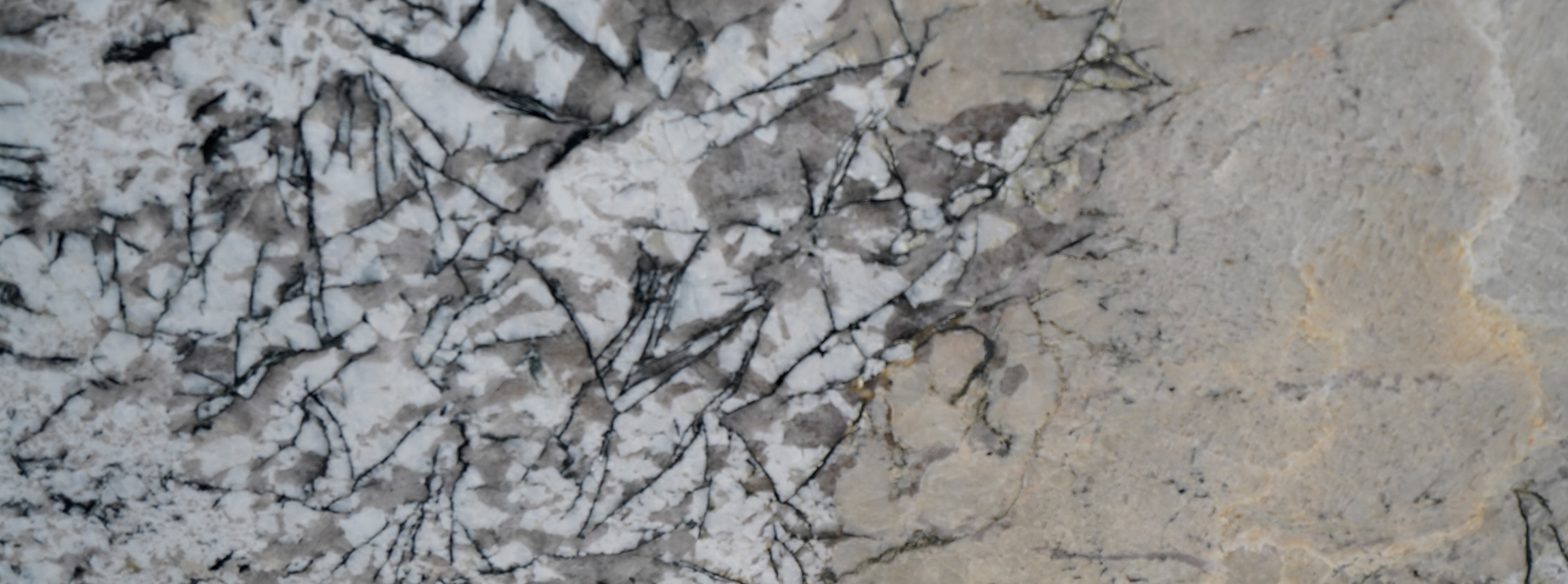 Glacier-White-3140---Closeup