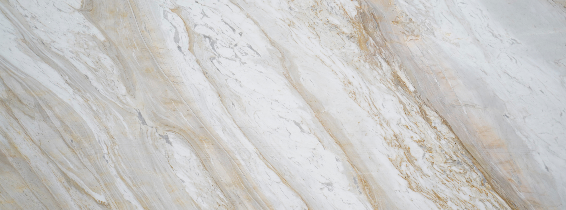 Palissandro-Gold-142---Closeup