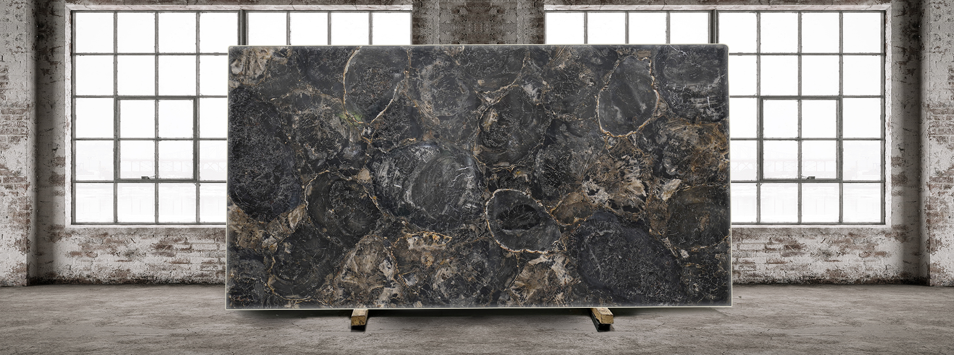 Patrified-Wood-813---Warehouse