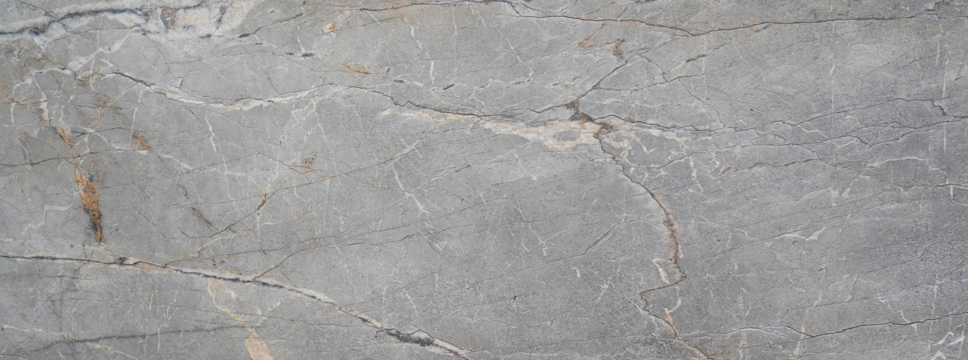 Silver-Rost-12666---Closeup