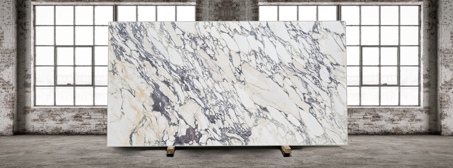 Vagli-Viola-Honed-10369---Warehouse