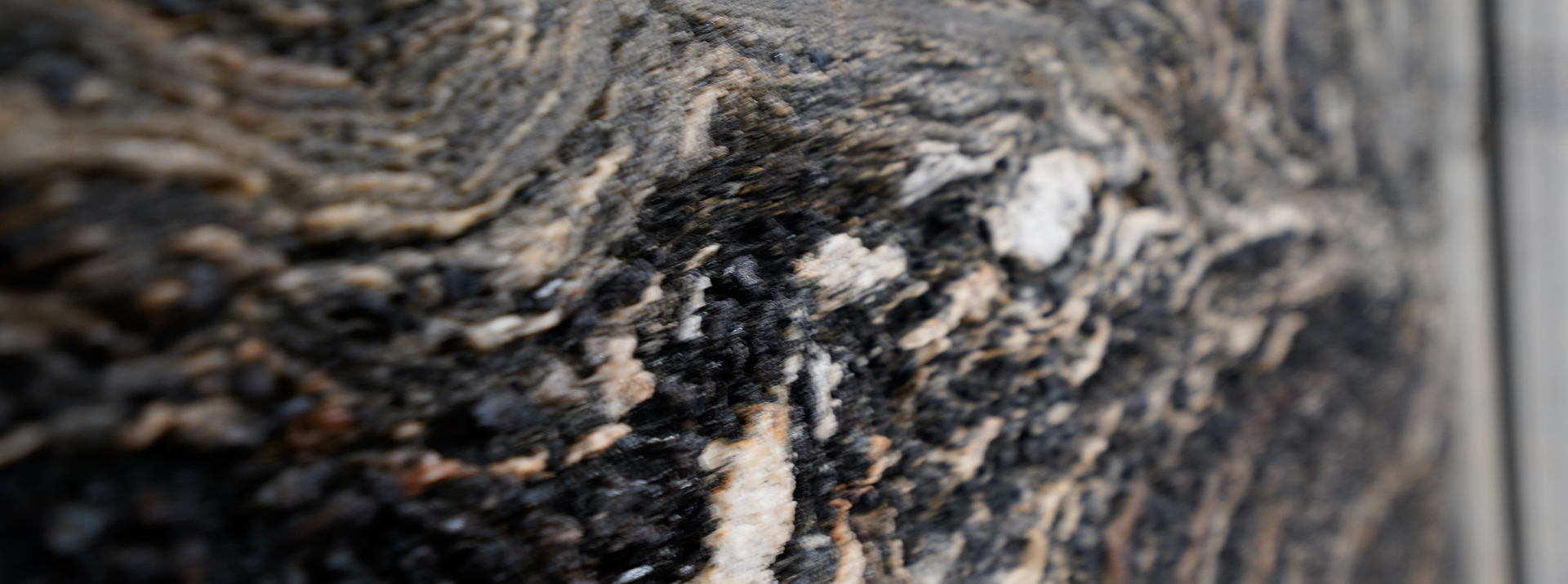 Arizona-Gold---8174---closeup