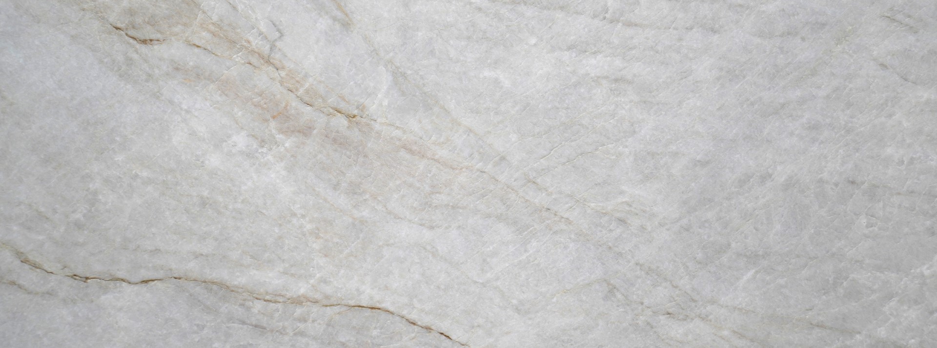 Taj-MAHAL-Leather----103229---closeup