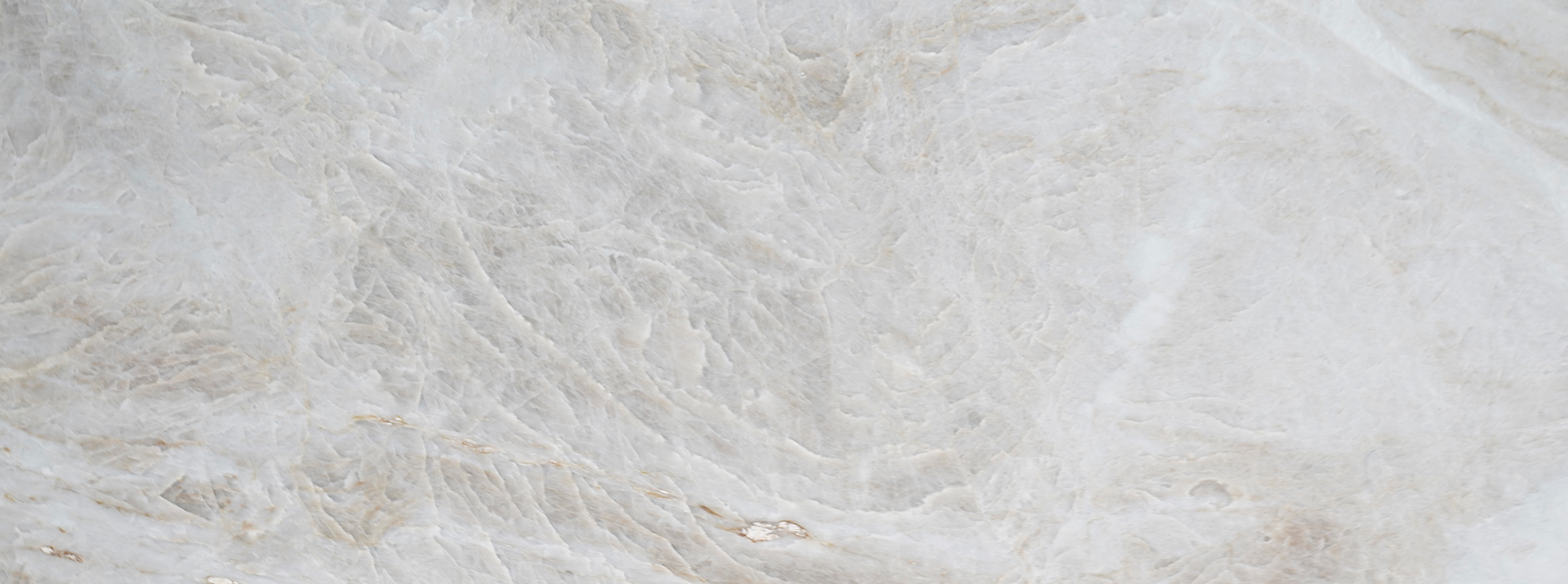 Taj-Mahal-Leather-34676---Closeup